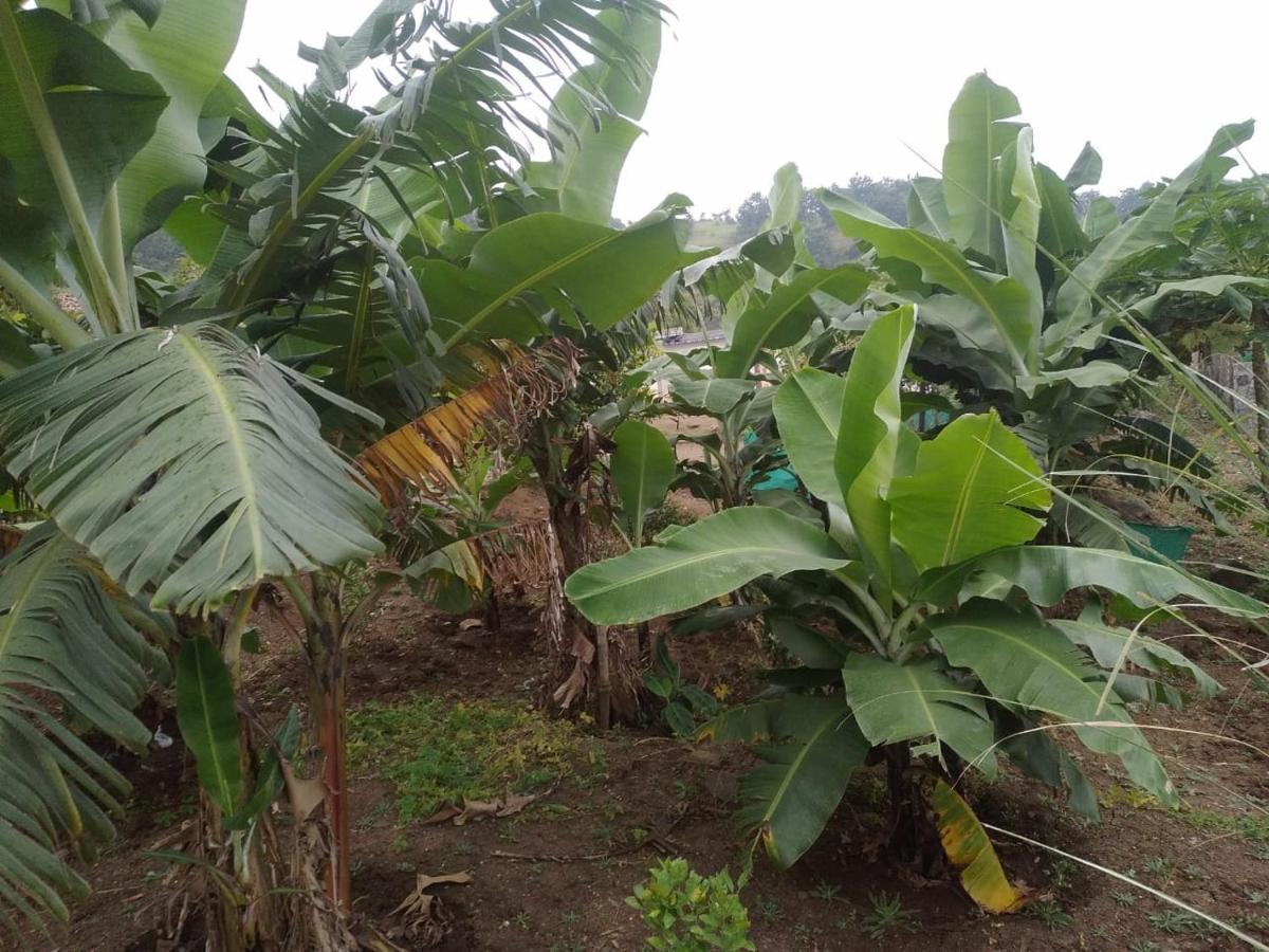 Jandyal Farm House Malshej Ghat Exterior photo