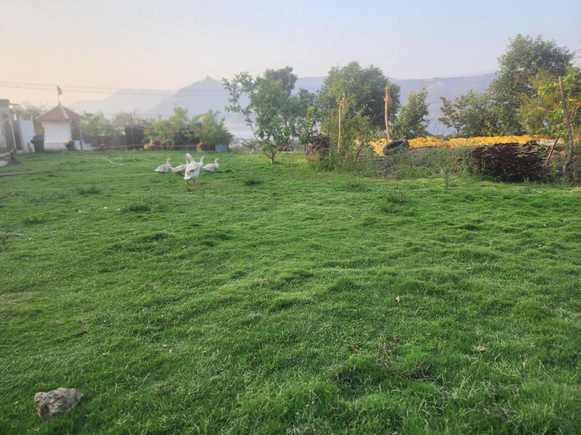 Jandyal Farm House Malshej Ghat Exterior photo